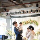 제니엘수원지점 | 플로렌스 보라매점 돌스냅 by제니엘스냅 /쌍둥이 돌잔치 촬영 후기