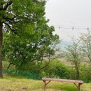 초정힐링캠핑장 이미지