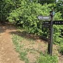 성녀루이제의집 이미지