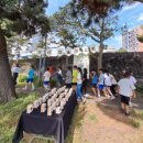 서귀포초등학교 이미지