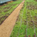 다올목장 이미지