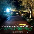 자생식물원 이미지