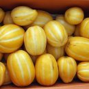 미소농산 이미지