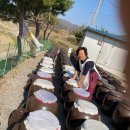 문덕장류마을 이미지