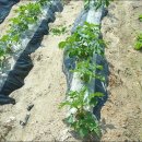 함양농장 이미지