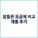 알뜰폰 요금제 비교 후 KT 회선 고고모바일 개통 후기