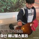 내서읍1320 | 마산 애니멀스토리 후기｜비 오는 날 아이랑 가기 좋은 실내 동물원