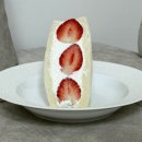 광양초등학교 | 제주 이도일동 / 제주 후르츠산도 ‘ 토키 ’