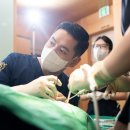 서울팀치과의원 이미지