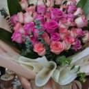 양지빌딩 이미지