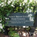 보타니칼 이미지