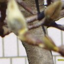 김천보건소 이미지