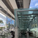 월곡순정형외과의원 | 🏥 무릎이 욱신욱신, 결국 월곡순정형외과 다녀왔어요!