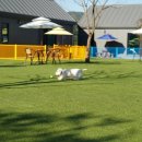 펜션갈까요 이미지