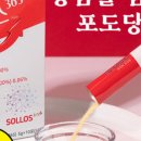 비지비코리아 이미지