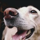 개토피아 이미지