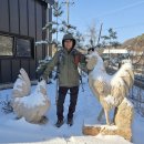 경기둘레길 파주7코스 | 경기둘레길 7코스 (26.1.13) " 반구정(경기 파주)-율곡습지공원"