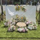 피어나개 | 오산 펫타스틱 멍양갱 행사 (마스코타스튜디오) 반려동물사진촬영 이벤트