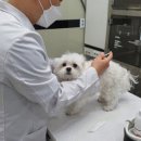 MK동물병원 이미지