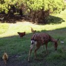 신흥초교 이미지