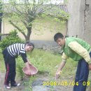 국환농장 Daum카페