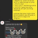 오느레케이크 이미지