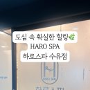 하로스파
