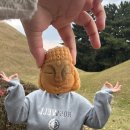 보배아파트~이리~학조리 | 11월의 냠냠일기