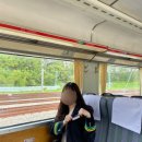 김유정로 R | 봄의 끝자락에서 친구들과 떠난 춘천 힐링 여행｜1박2일 코스