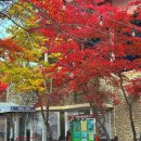 팔공산케이블카 | 대구 단풍명소 팔공산 케이블카 이용후기 – 주차, 요금, 전망 정보 총정리