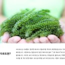 (주) 대진엠에스 이미지