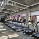 포텐 휘트니스 이미지