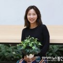 파이어씨드 이미지