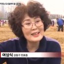 꿈을 키우는 도시 이미지