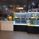 미스터 멍 애견샵 이미지