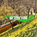 ●제524회차 충남예산 100대명산 가야산(678m)~석문봉(650)~일락산(521m)+유기방가옥 수선화축제● 이미지