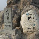 삼성전자반야월