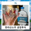 한라산 소주 공장투어 내돈내산 후기