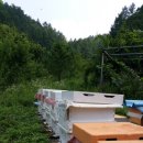 산속골농장 이미지