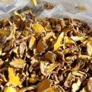 여주-0639 이미지