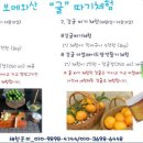보메와산 이미지