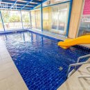 슈슈펜션 이미지