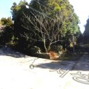 남원읍-77 이미지