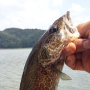 금도끼PC 이미지