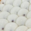 오늘기정떡포천송우점