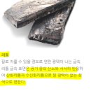 LIT ETF 전망, 테슬라 보다 낫다고 생각하는 이유(ft.리튬배터리 관련주/미국 주식)
