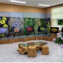 백두대간 자생씨앗 아름다움에 반하다 이미지