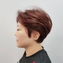 제라드헤어