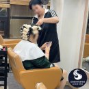헤어실무 | 헤어실무교육에서 실전 경험이 중요한 이유(신촌미용학원)