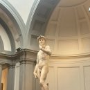 메디치약국 이미지